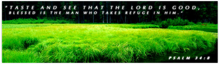 Bible Verse Email Daily Email Bible Verse